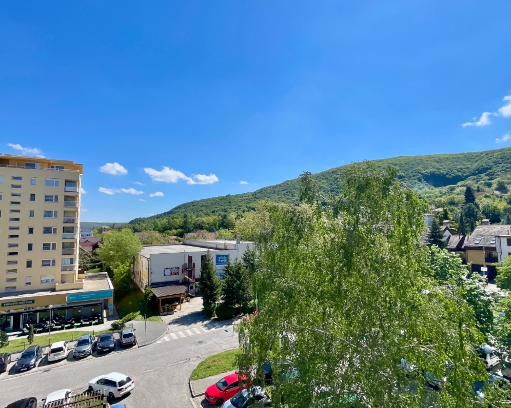 1 IZBOVÝ BYT DEVÍNSKA NOVÁ VES BRATISLAVA